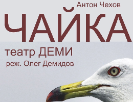 Чайка