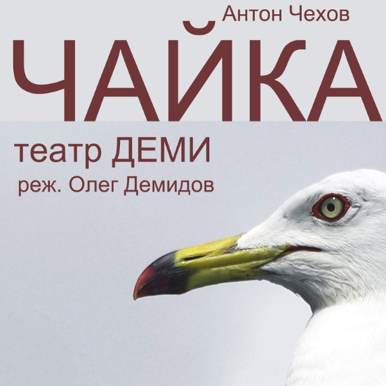 Чайка